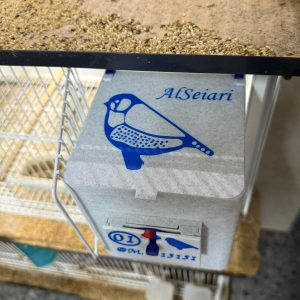 PHOTO-2025-10-14-10-32-41 (1)