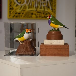 Figura Diamante de Gould