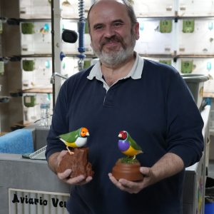 Gouldian Finch Figurine