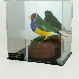 Figura Diamante de Gould