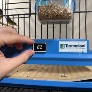 cd3b2c2b-d591-4541-b8d8-e0c701422c4e