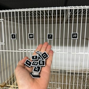 Fichas Magnéticas Cuadradas para Alambre de Jaula (2x2 cm) – Numeradas